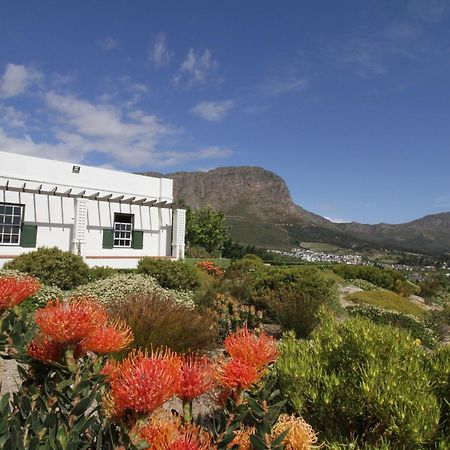 The Vineyard Cottage By L' Amitie Estate Franschhoek Exterior foto