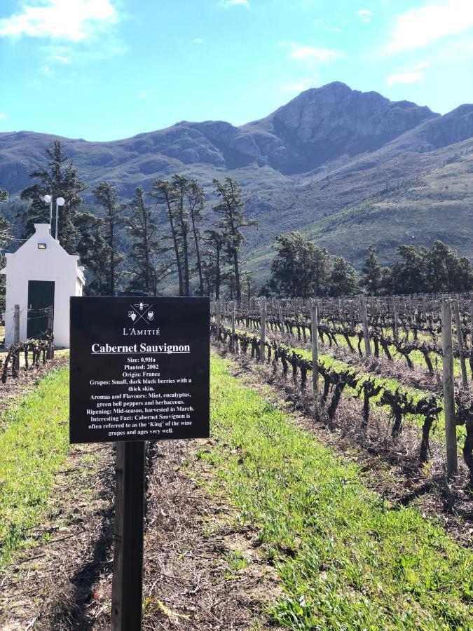 The Vineyard Cottage By L' Amitie Estate Franschhoek Exterior foto
