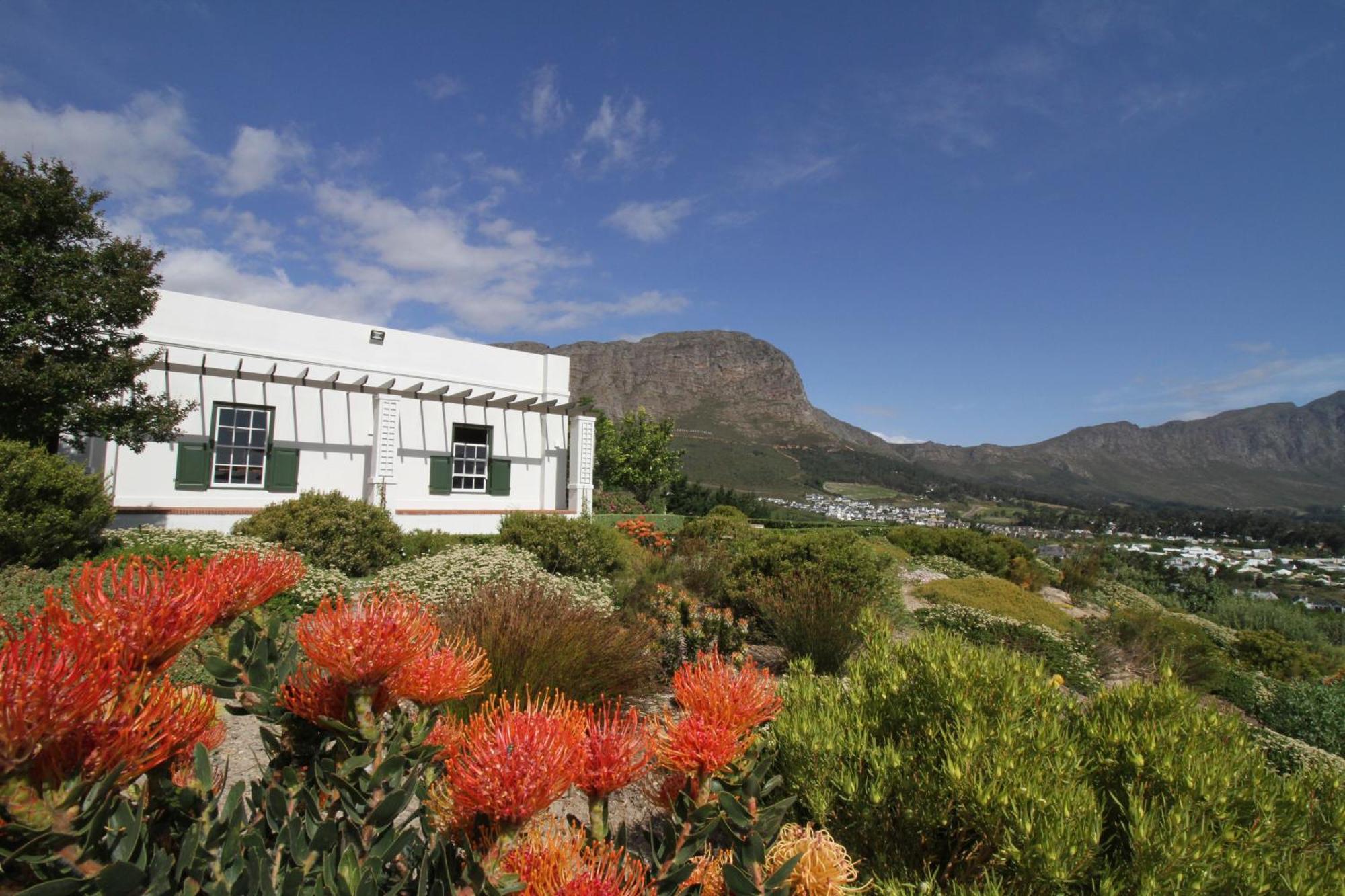 The Vineyard Cottage By L' Amitie Estate Franschhoek Exterior foto